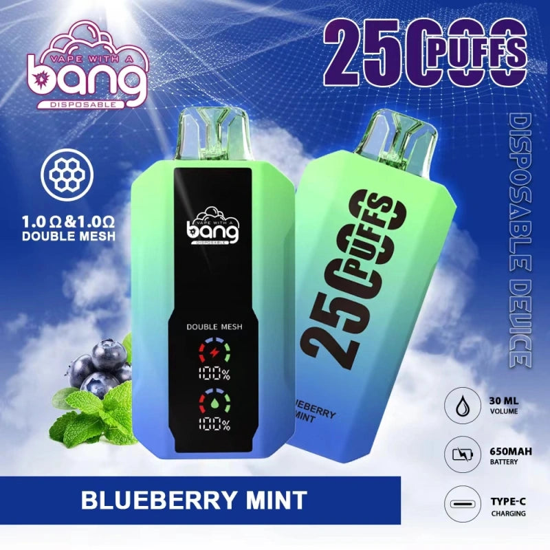 Bang box vape 25000 Puffs 25K  30K Disposable Vape Wholesale Price Fruit-flavored vape pen